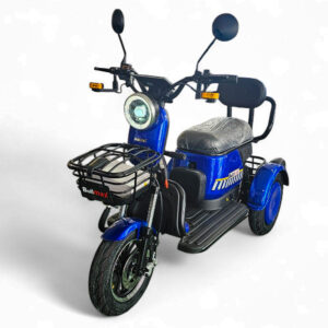 Електрическа триколка grand pudding 2000w, 60v, 20ah, ce сертификат (Копие)